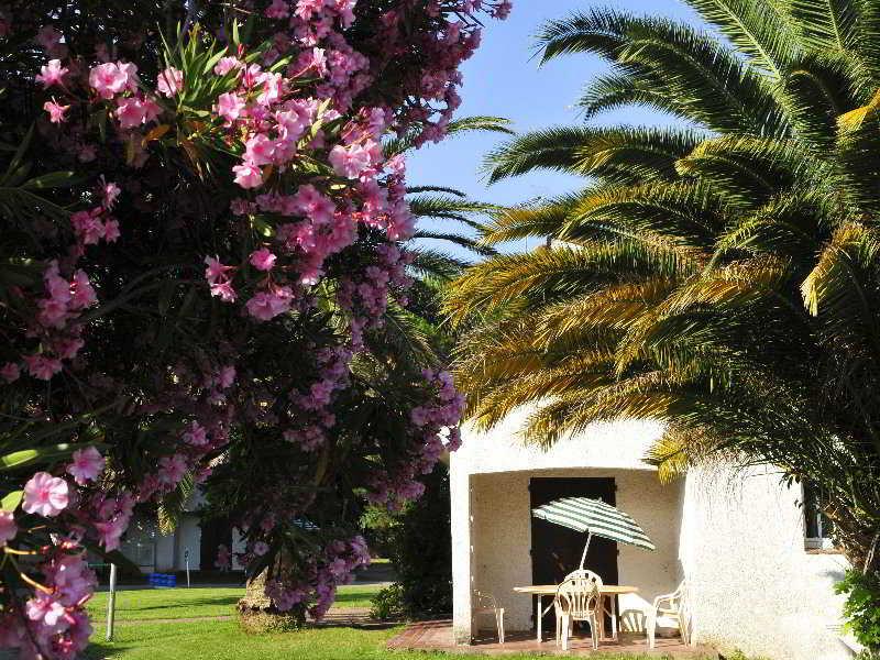 Hotel Le Domaine Du Mas Blanc By Popinns Alenya Exterior photo